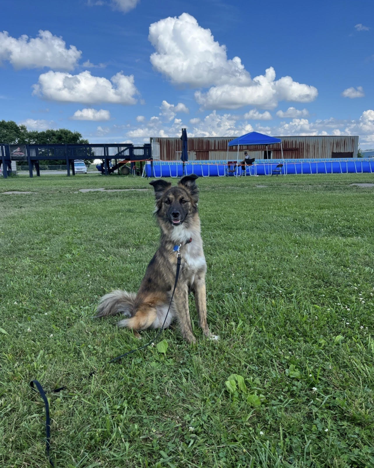 k9 Hannah Spagnola