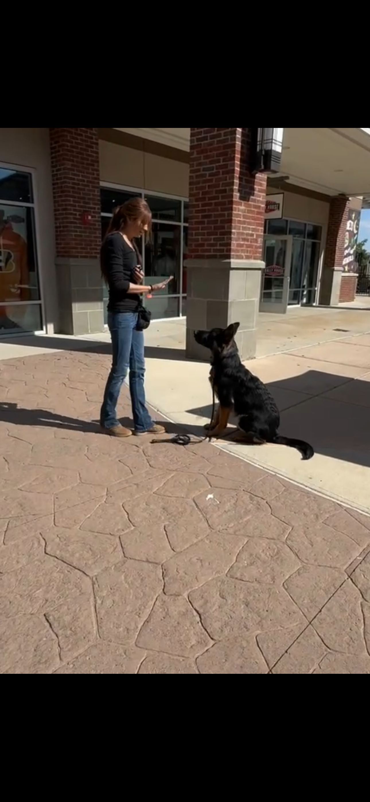 dog training in columbus ohio